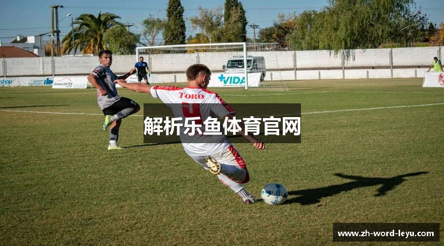 解析乐鱼体育官网